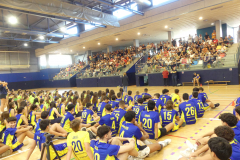 PRESENTACIÓ 15